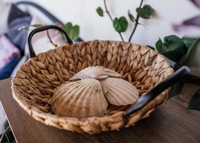 Nora * ماكارسكا